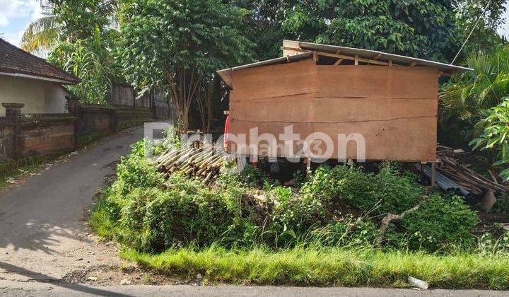 TANAH HOOK STRATEGIS 100 M² DEKAT PANTAI KEDUNGU, BALI 1