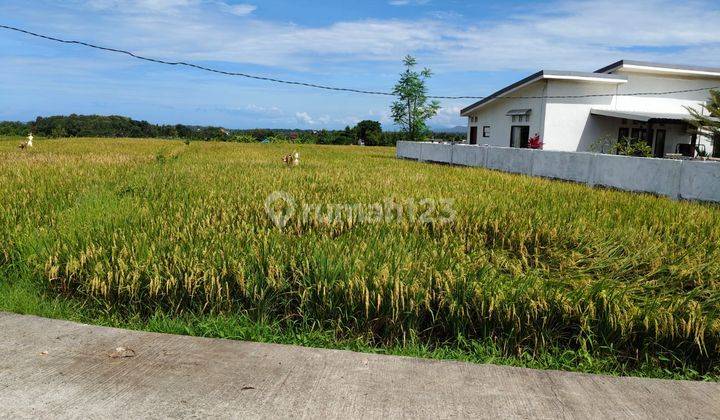 Tanah Siap Bangun 3000 Sqm Walking Distance To Klating Beach 1