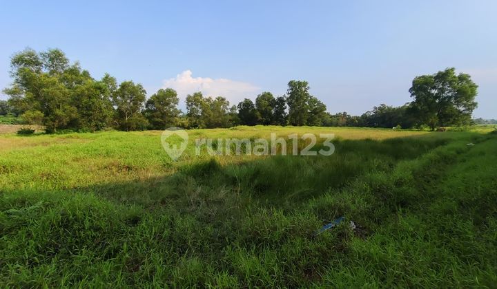 Kavling Kawasan Industri Terpadu(kitic )strategis Siap Di Bangun 1