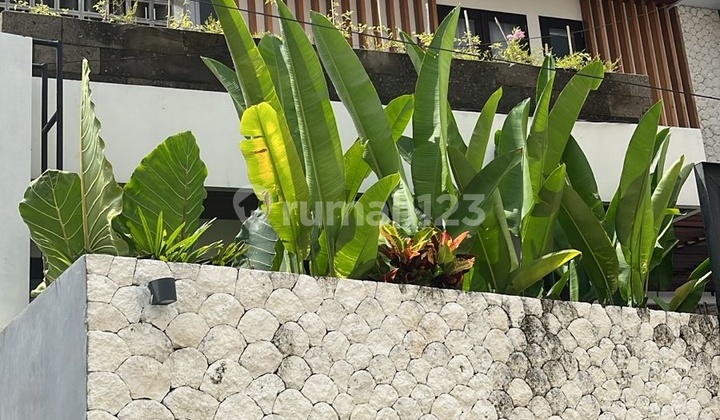 Villa Mewah 3 Kt di Sanur, Lt 178 M2 Siap Huni Villa Mewah 3 Kt di Sanur, Lt 178 M2 Siap Huni