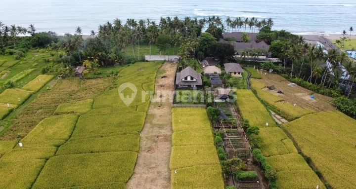 Land Area 1200m2, Exclusive Location Near the Beach Land Area 1200m2, Exclusive Location Near the Beach