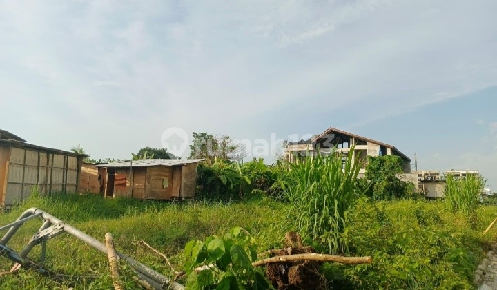 37 Are Land Area in Munggu, Delat Beach