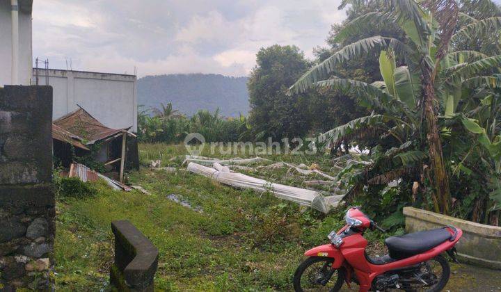 Jual Tanah Ukuran 10 Are Di Pancasari Bedugul 1