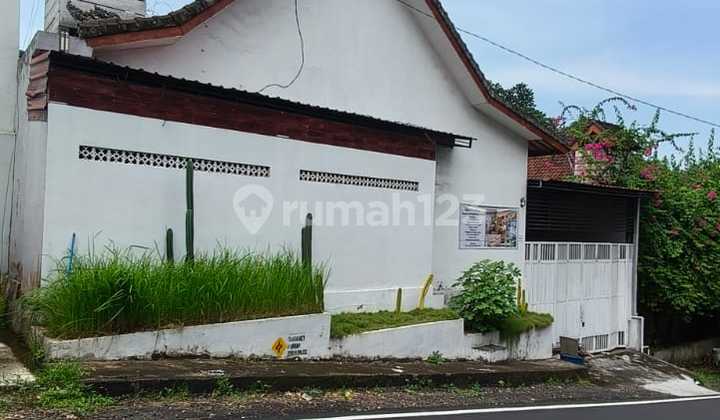 Sewa Villa 5 Kt Dan Kolam Renang Daerah Canggu 