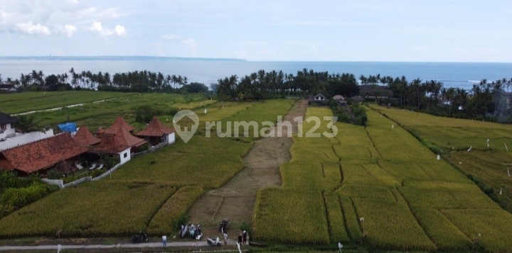 Land Area 1200m2, Exclusive Location Near the Beach Land Area 1200m2, Exclusive Location Near the Beach