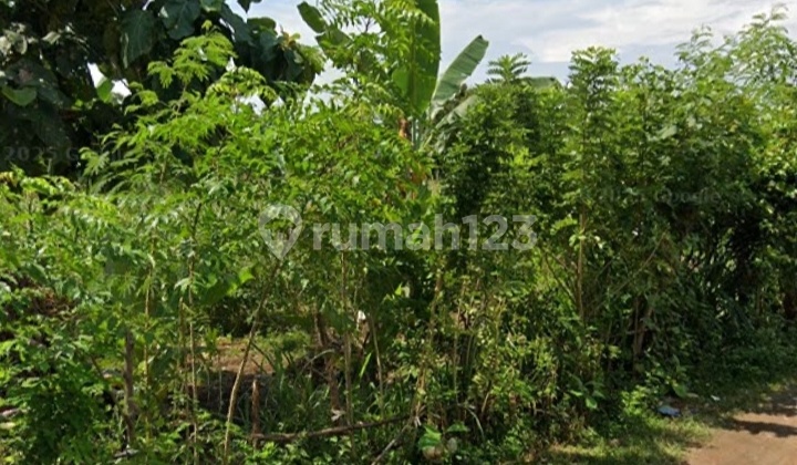 Wide Land with SHM Certificate, Industrial and Beachfront Location in Patas. Wide Land with SHM Certificate, Industrial and Beachfront Location in Patas.