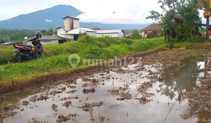 Land Area 11 Ares, Near Jatiluwih Tourist Attraction