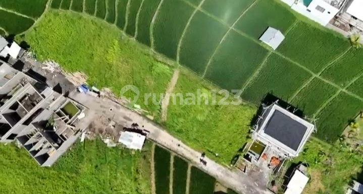 Land 12 Are Rice Field View Near Canggu Bali