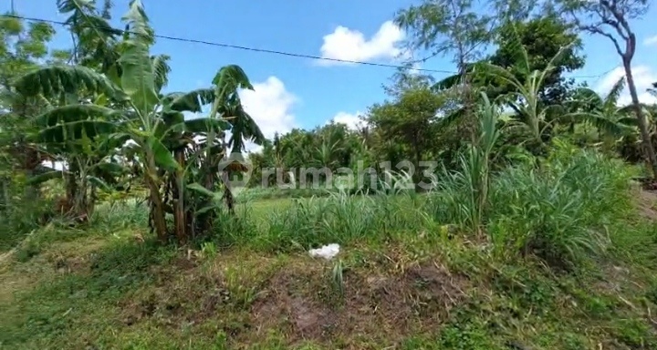 Tanah Premium 7.500M² di Mandalika, View Pantai