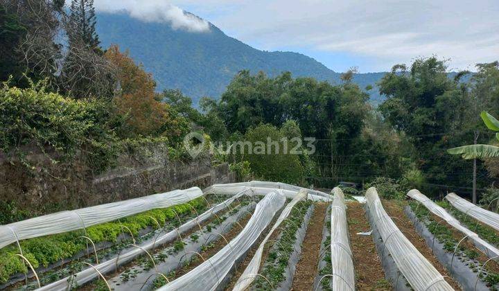 Tanah,pinggir Jalan Raya Bedugul View Danau 1