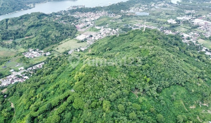 Strategic hill land near Gili Mas Port, West Lombok Strategic hill land near Gili Mas Port, West Lombok