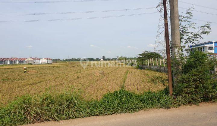 Tanah di Tambun Utara, Bekasi 2
