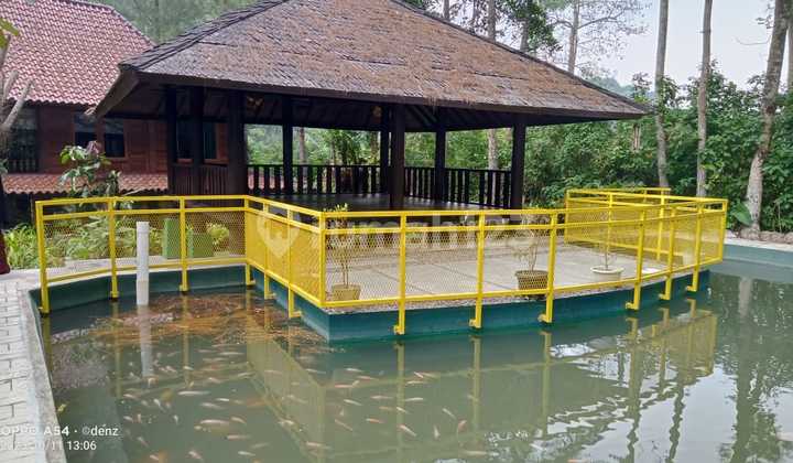 Villa Cibedug Ciawi Bogor