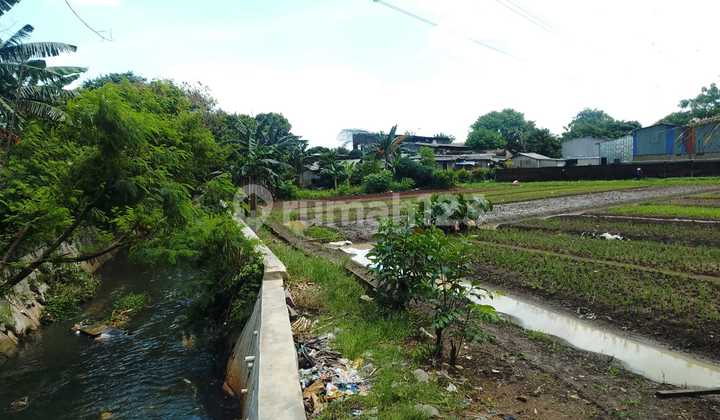 Tanah Murah Dibawah NJOP Penggilingan Jakarta Timurpenggilingan Sentuh Hatitenang Tanah Murah Dibawah NJOP Penggilingan Jakarta Timurpenggilingan Sentuh Hatitenang