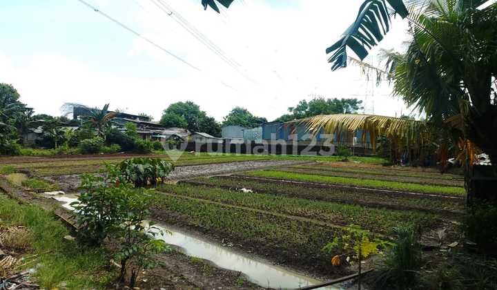 Cheap Land Ready for Contact Price Below NJOP Penggilingan East Jakarta