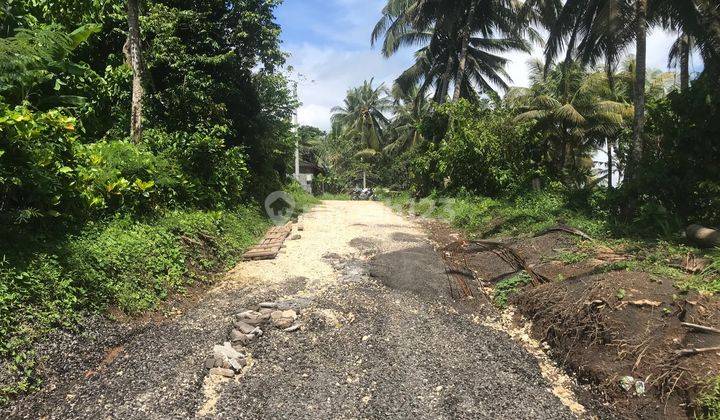 Tanah Pink Zone Disewakan 26are Dekat Pantai di Selemadeg, Tabanan 2