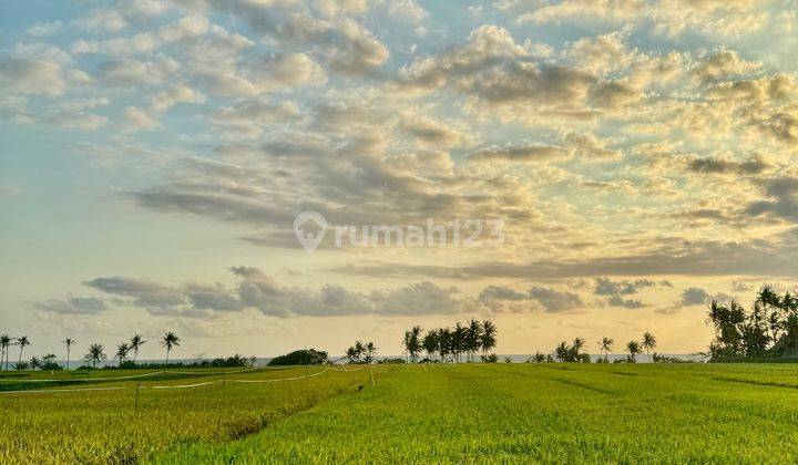 Land For Sale Freehold Beachfront In Pantai Pasut Tabanan 46 are 1