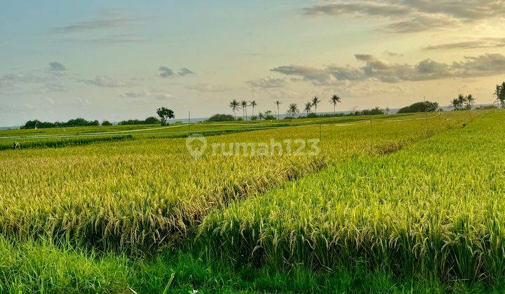 Land For Sale Freehold Beachfront In Pantai Pasut Tabanan 46 are 2