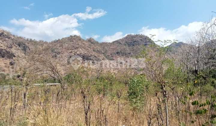 Dijual Kavling Nyaman Siap Bangun Lokasi di Buleleng Bali dekat ke Lovina 2