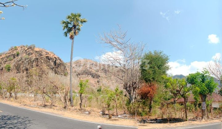 Dijual Kavling Nyaman Siap Bangun Lokasi di Buleleng Bali dekat ke Lovina 1