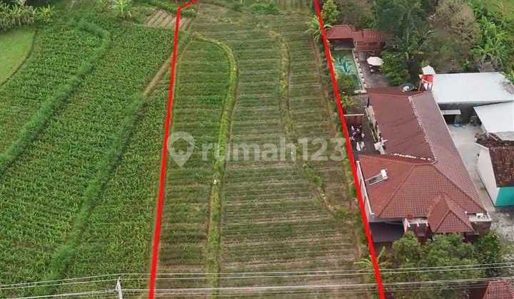 Dijual Tanah Dibawah Harga Pasar Strategis Di Sleman Jogyakarta