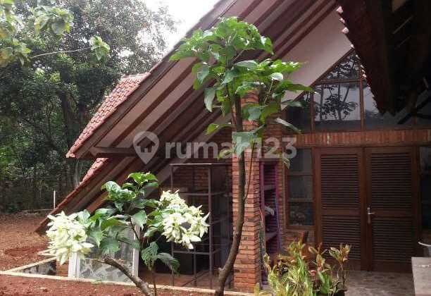 European-Style Cool and Majestic Residence in Ciganjur, South Jakarta 2