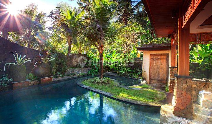 Dijual 4 Villa Komplek Cantik Di Ubud  2