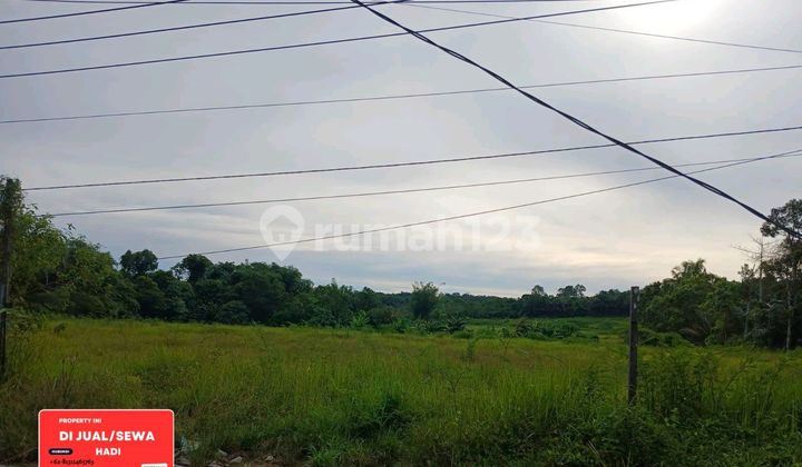 Disewakan Lahan 5 Ha Pinggir Jalan Poros Disewakan Lahan 5 Ha Pinggir Jalan Poros