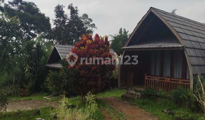 Dijual Villa Cantik Strategis Di Area Wisata Ciwidey Kab Bandung Dijual Villa Cantik Strategis Di Area Wisata Ciwidey Kab Bandung