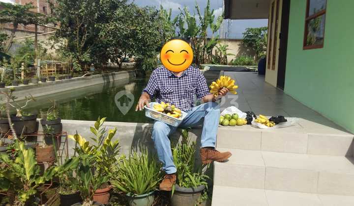 Dijual Tanah Matang 9 Kavling Di Komplek Ngamprah Bandung Barat Dijual Tanah Matang 9 Kavling Di Komplek Ngamprah Bandung Barat