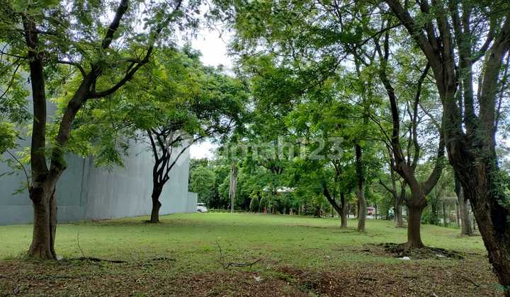 Kavling Hook Exlusive di Komplek Perumahan Mayang Permai Pantai Indah Kapuk, Penjaringan Jakarta Utara Kavling Hook Exlusive di Komplek Perumahan Mayang Permai Pantai Indah Kapuk, Penjaringan Jakarta Utara