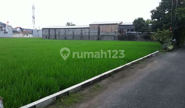 Dijual Tanah Sawah Murah Strategis Margahayu Dijual Tanah Sawah Murah Strategis Margahayu