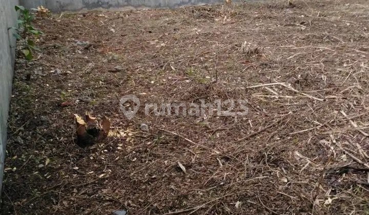 Dijual Tanah Matang Siap Bangun Ligar Cigadung Dijual Tanah Matang Siap Bangun Ligar Cigadung