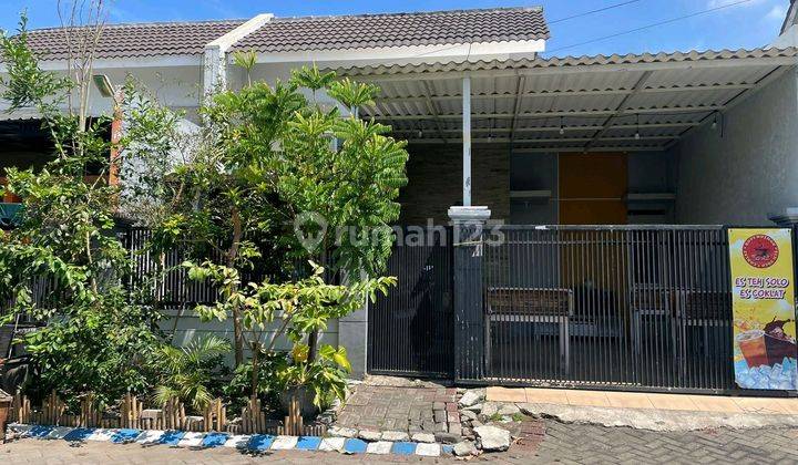 Rumah Dikontrakkan Murah Di Puri Surya Jaya  1