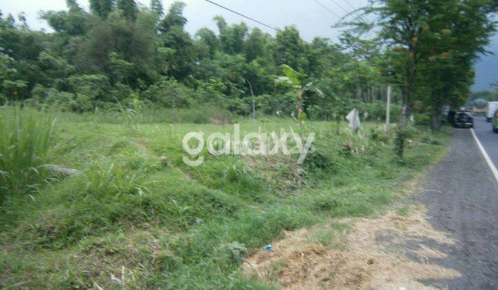 Tanah Daerah Jalan Raya Probolinggo Lumajang 1