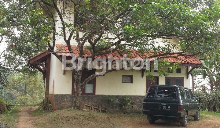 TANAH PERKEBUNAN WONOSALAM JOMBANG