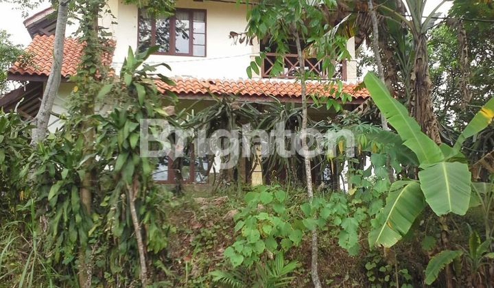 TANAH PERKEBUNAN WONOSALAM JOMBANG