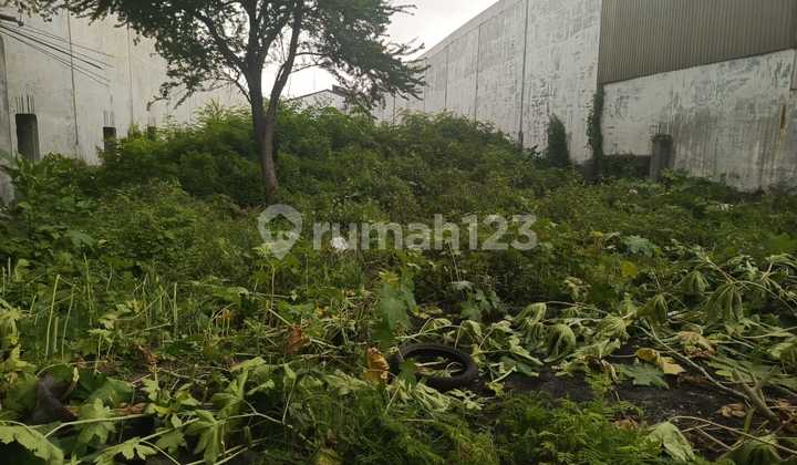 Tanah di Nol jalan Raya Margomulyo  Sederetan dengan Pergudangan antropolis