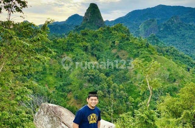 Kavling Kebun Murah Di Bogor