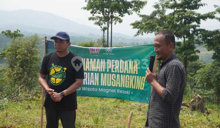 Kavling Kebun Murah Di Bogor