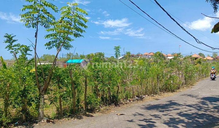 Tanah di jalan tulip ungasan , Ungasan SHM - Sertifikat Hak Milik 1