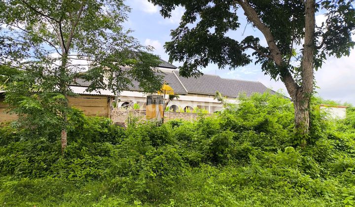 For Sale 400M2 Land in Toyaning Ungasan Villa Area For Sale 400M2 Land in Toyaning Ungasan Villa Area