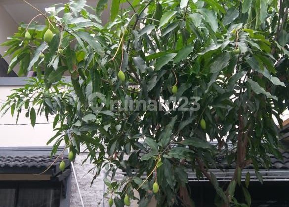 Rumah 5 Kamar Selangkah ke Tol Kopo & Cibaduyut