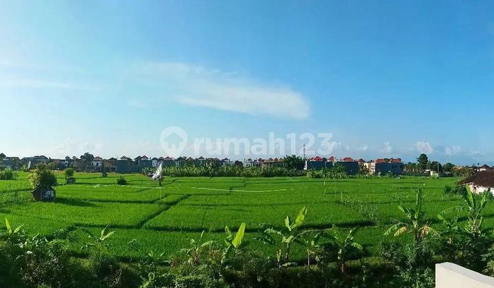 Rumah Semi Villa View Sawah Didenpasar Timur 2