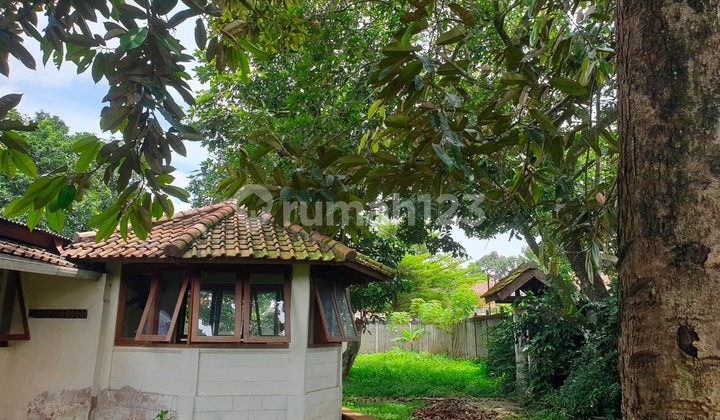 For Sale: House with Land Calculation of 2650 Meters in Parung Panjang. Suitable for Developing a Housing Cluster. House. 2