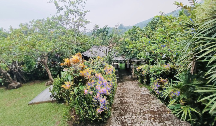 Dijual Villa 2 Lantai Di Cibungbulan Ciaruteun Bogor Dengan View Gunung Dan Sawah Dengan Mata Air Dan Kebun Buah.