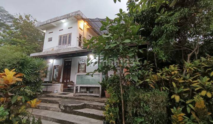 Dijual Villa Di Pedesaan Ciaruteun Bogor Dengan Sumber Mata Air Dan Pemandangan Pedesaan Yang Asri Dan Tenang.cocok Untuk Menghabiskan Masa Pensiun. 2