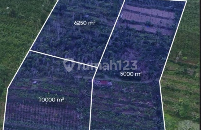 For Sale Tanah Di Dekat Kebun Raya Gianyar 21.250meter Persegi. Lokasi Strategis. Cocok Untuk Resort Maupun Tempat Ret Ret Juga Kebun Binatang Dll. Tanah di Payangan 21250.0 m² SHM For Sale Tanah Di Dekat Kebun Raya Gianyar 21.250meter Persegi. Lokasi Strategis. Cocok Untuk Resort Maupun Tempat Ret Ret Juga Kebun Binatang Dll. Tanah di Payangan 21250.0 m² SHM