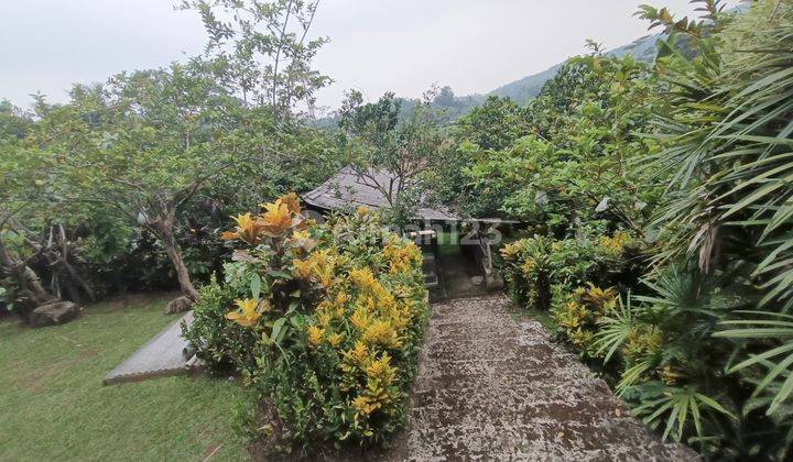 Dijual Villa Di Pedesaan Ciaruteun Bogor Dengan Sumber Mata Air Dan Pemandangan Pedesaan Yang Asri Dan Tenang.cocok Untuk Menghabiskan Masa Pensiun. 1