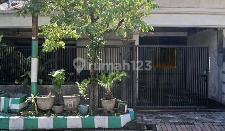 Jual Hitung Tanah Wiguna Tengah Dekat Amesta, Alana, Purimas, Upn Jual Hitung Tanah Wiguna Tengah Dekat Amesta, Alana, Purimas, Upn